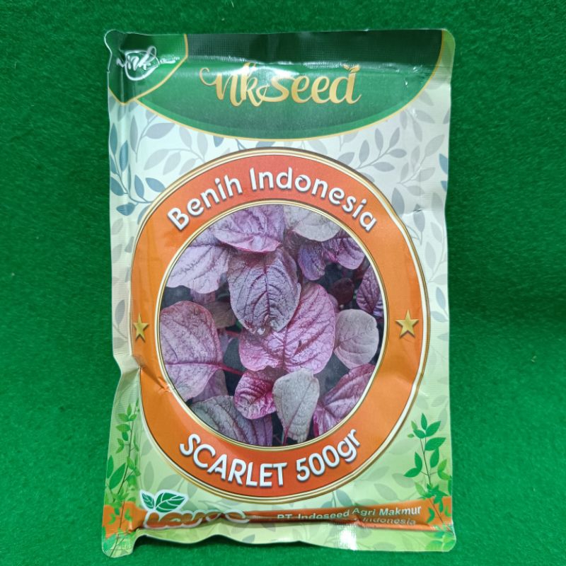 Benih Bayam Merah Scarlet kemasan 500gr