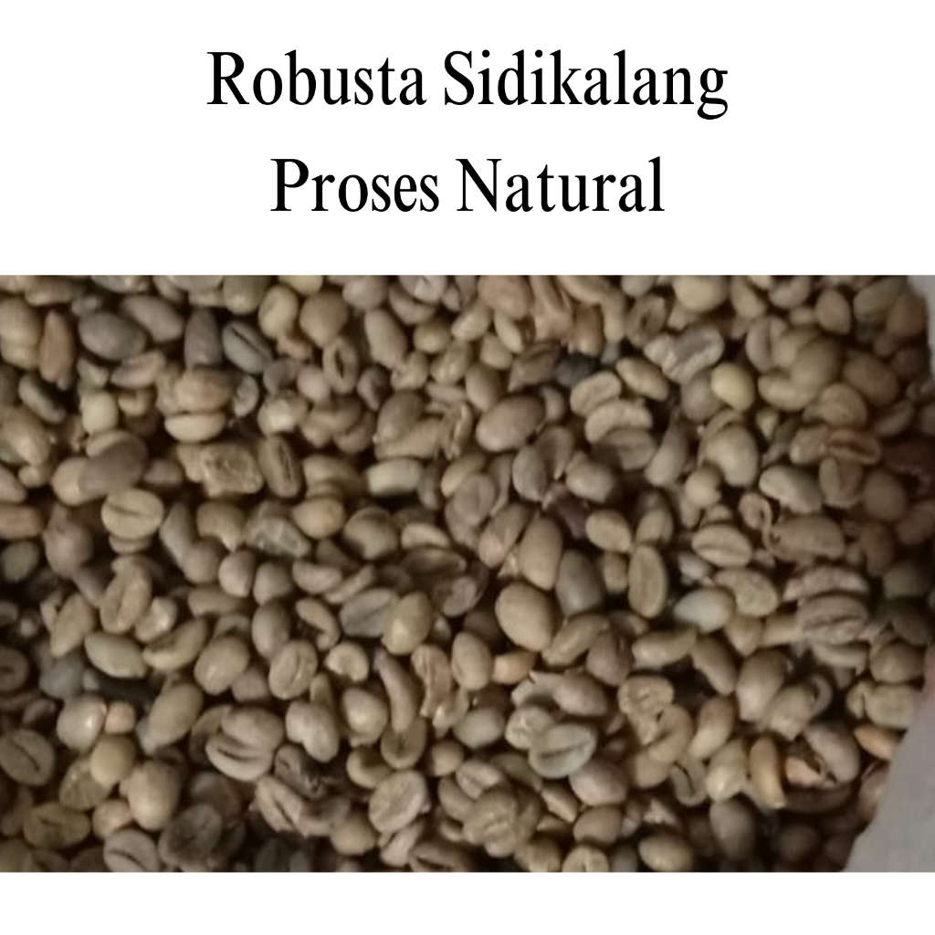 

Green Bean Robusta Sidikalang Proses Natural