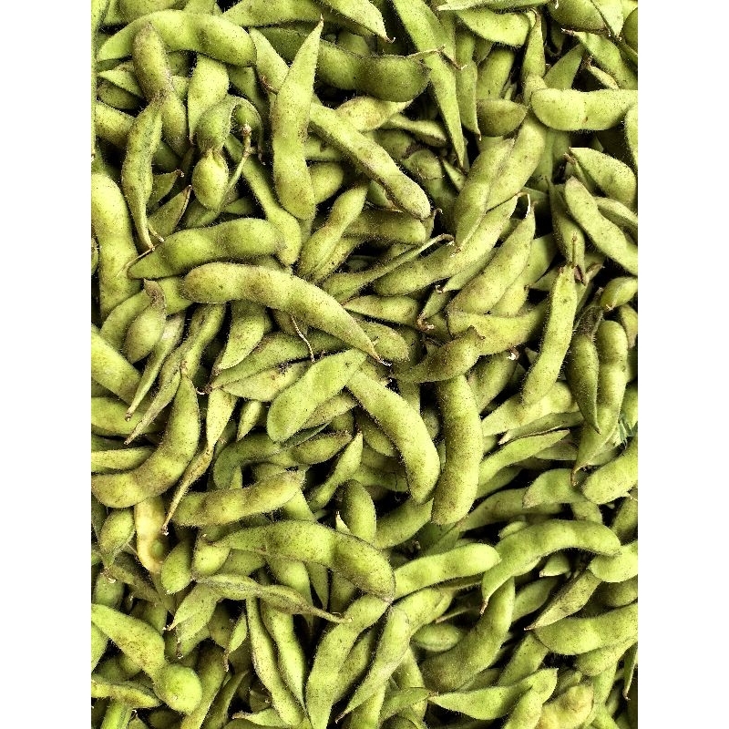 

Edamame Fresh 1 kg | Kacang Kedelai Muda