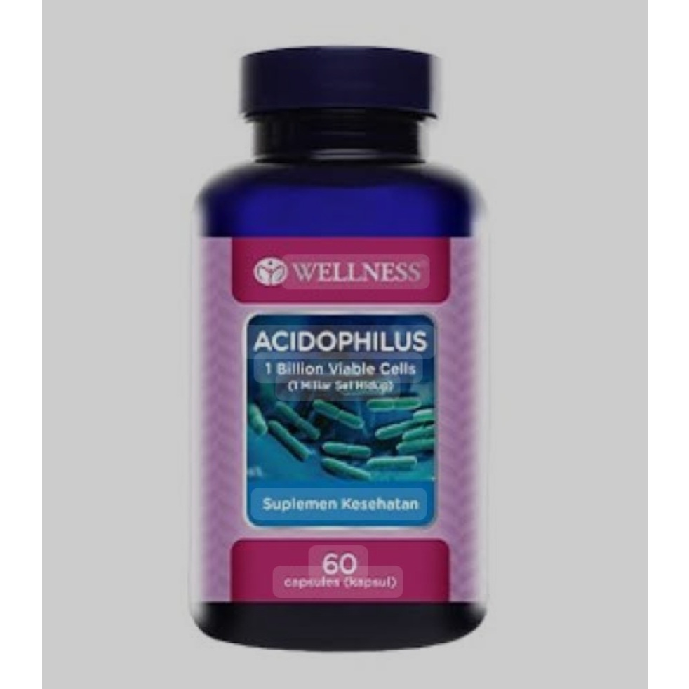 Wellness acidophilus 60kaplet