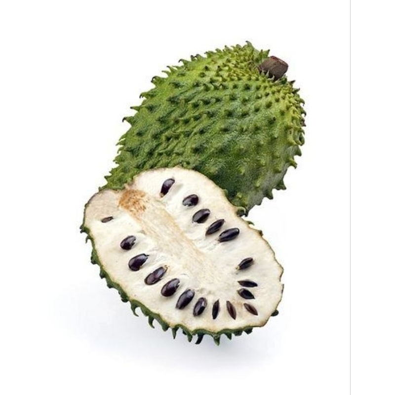 

buah sirsak