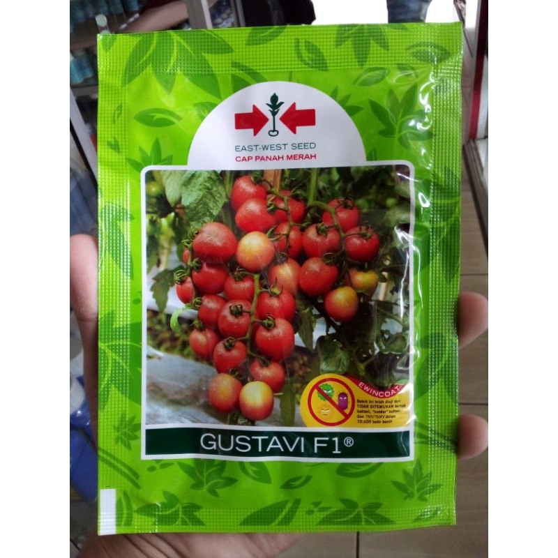 

Bibit gustavi f1 isi 1750 biji cap panah merah