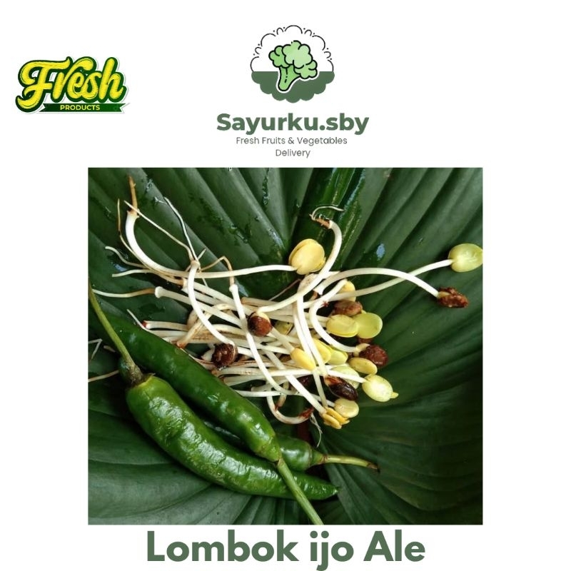 

Sayurku.sby ( Bisa kirim instan) Lombok Ijo Ale FRESH Premium 1 Pack