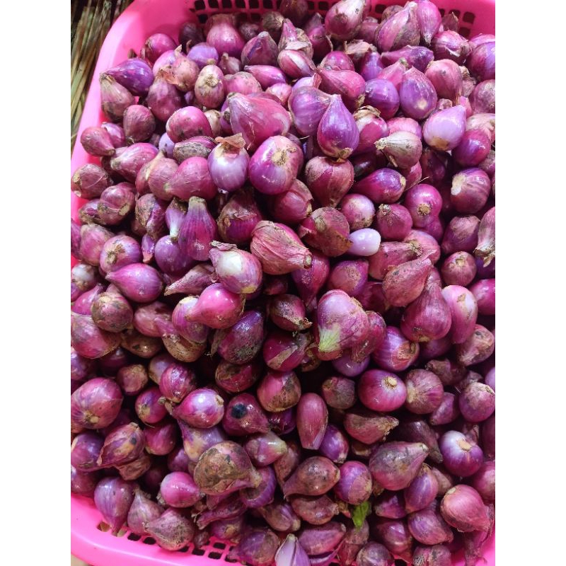 

bawang merah segar 250gr