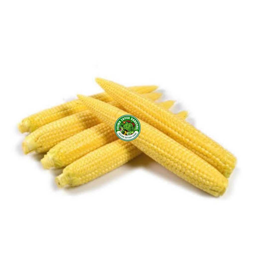 

PRIMA - Jagung Muda / Putren / Baby Corn Sayur Fresh Bandung