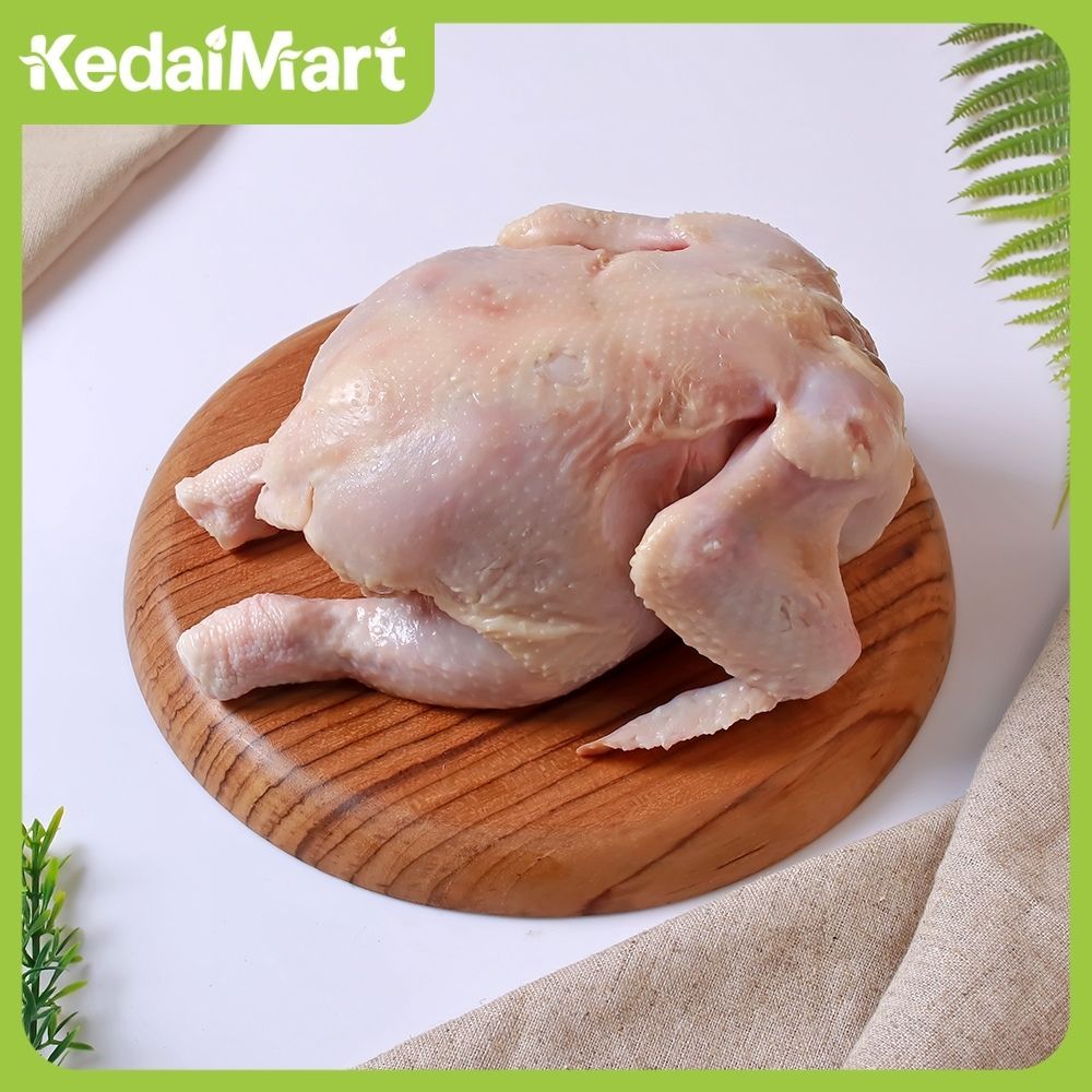 

Ayam Karkas Frozen 400 - 500 Gram