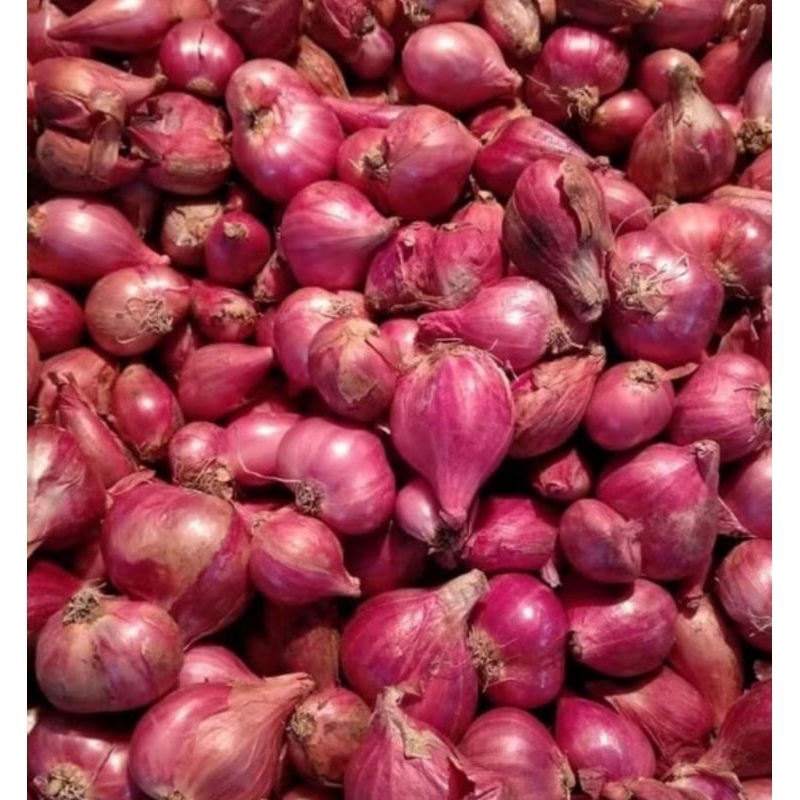 

bawang merah 1kg