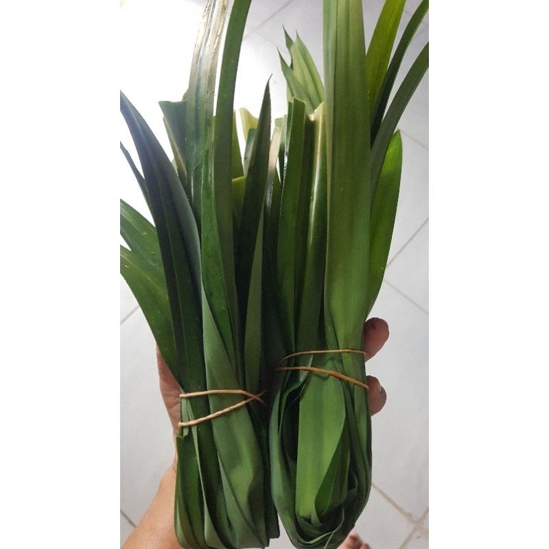 

Daun pandan