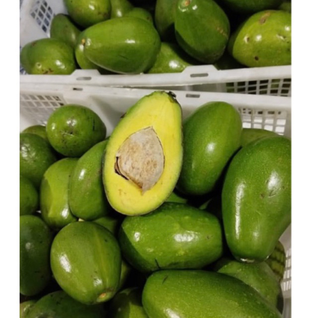 

Alpukat Mentega Reguler isi 2kg