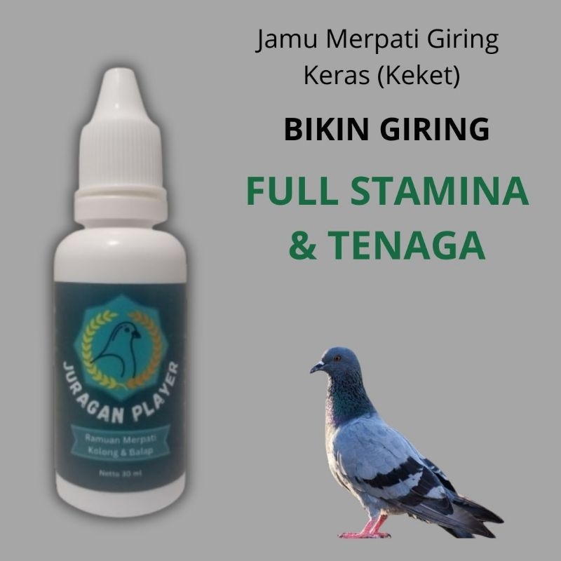 Jamu  Burung Merpati Kolong & Balap Juragan Player Penambah Stamina Dan Giring Keras