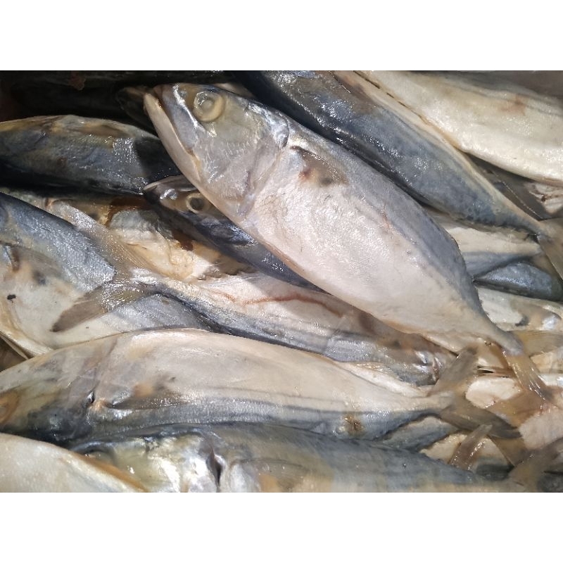 

ikan peda putih banjar