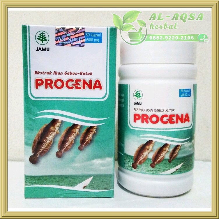 Procena Ekstrak Ikan Gabus 60 Kapsul Albumin