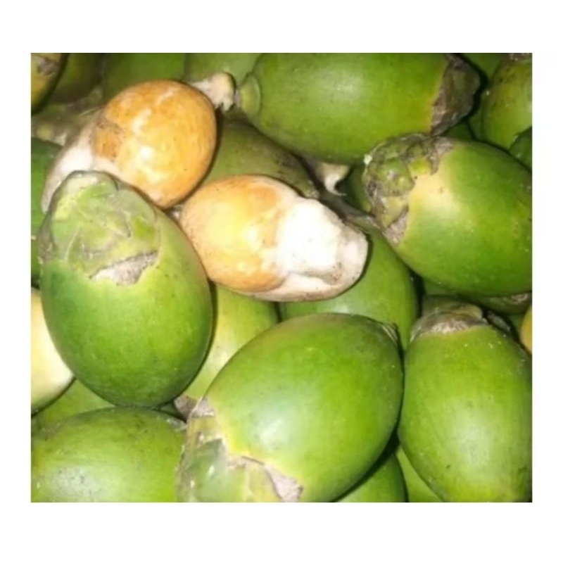 

pinang muda 35.000 1kg