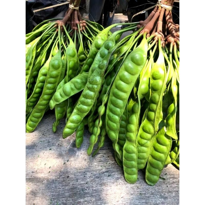 

Pete Tua Super per papan