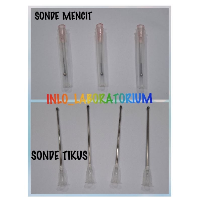 Sonde Tikus Sonde Mencit Kanula Oral/Sonde Tikus Oral/Sonde Mencit Oral