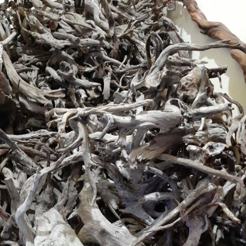 Kayu Santigi Laut Kecil Tenggelam Aquarium Aquascape Taman 19