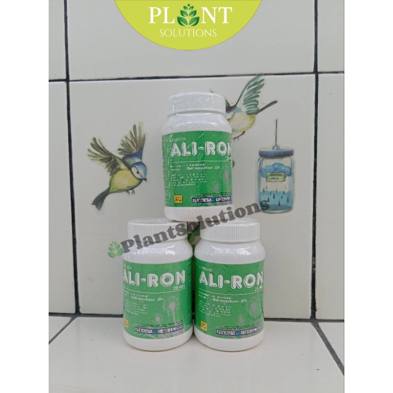 Herbisida Aliron 250Gr Ampuh Mengendalikan Gulma