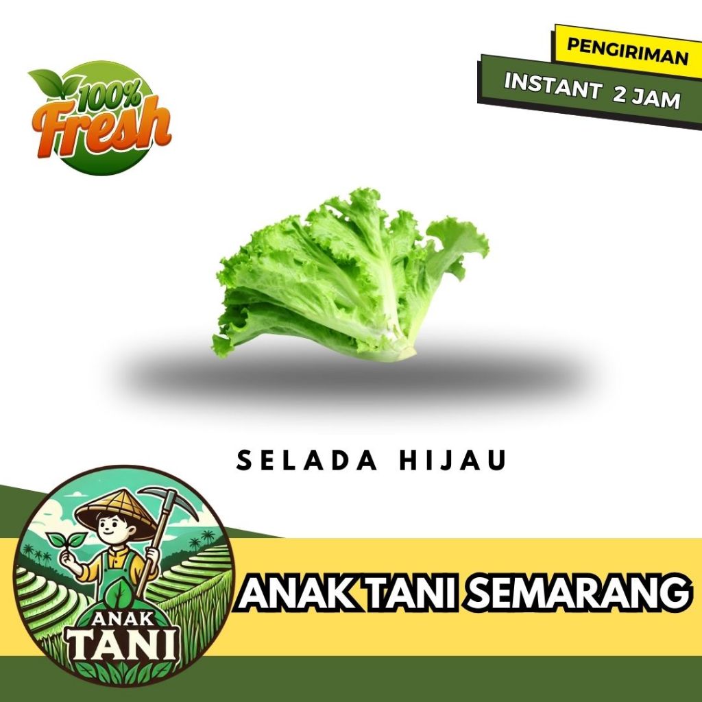 

[ANAK TANI] DAUN SELADA HIJAU SEGAR PER IKAT SIAP KIRIM INSTANT AREA SEMARANG
