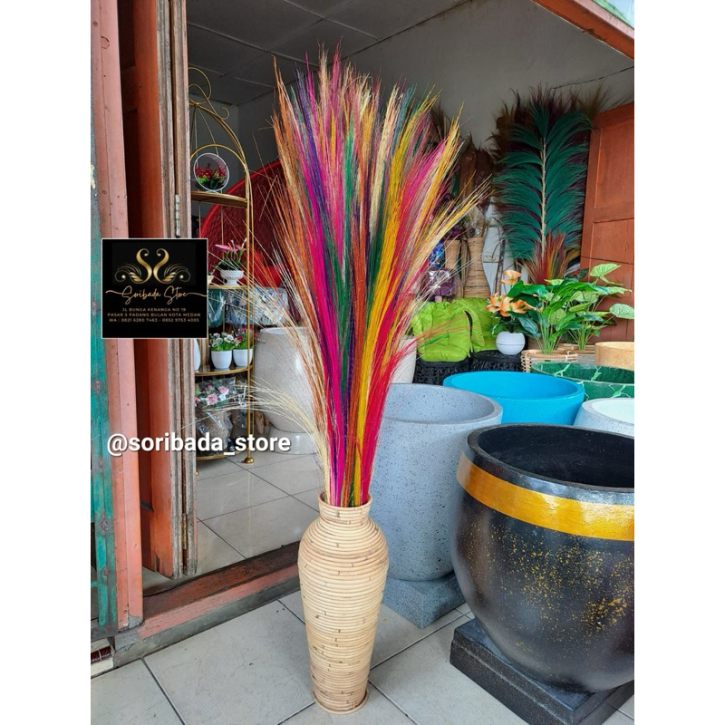 Pampas | Bunga Pampas | Rayung Kering | Bunga Kering | Bunga Hias | Dekorasi Rumah | Hiasan Rumah