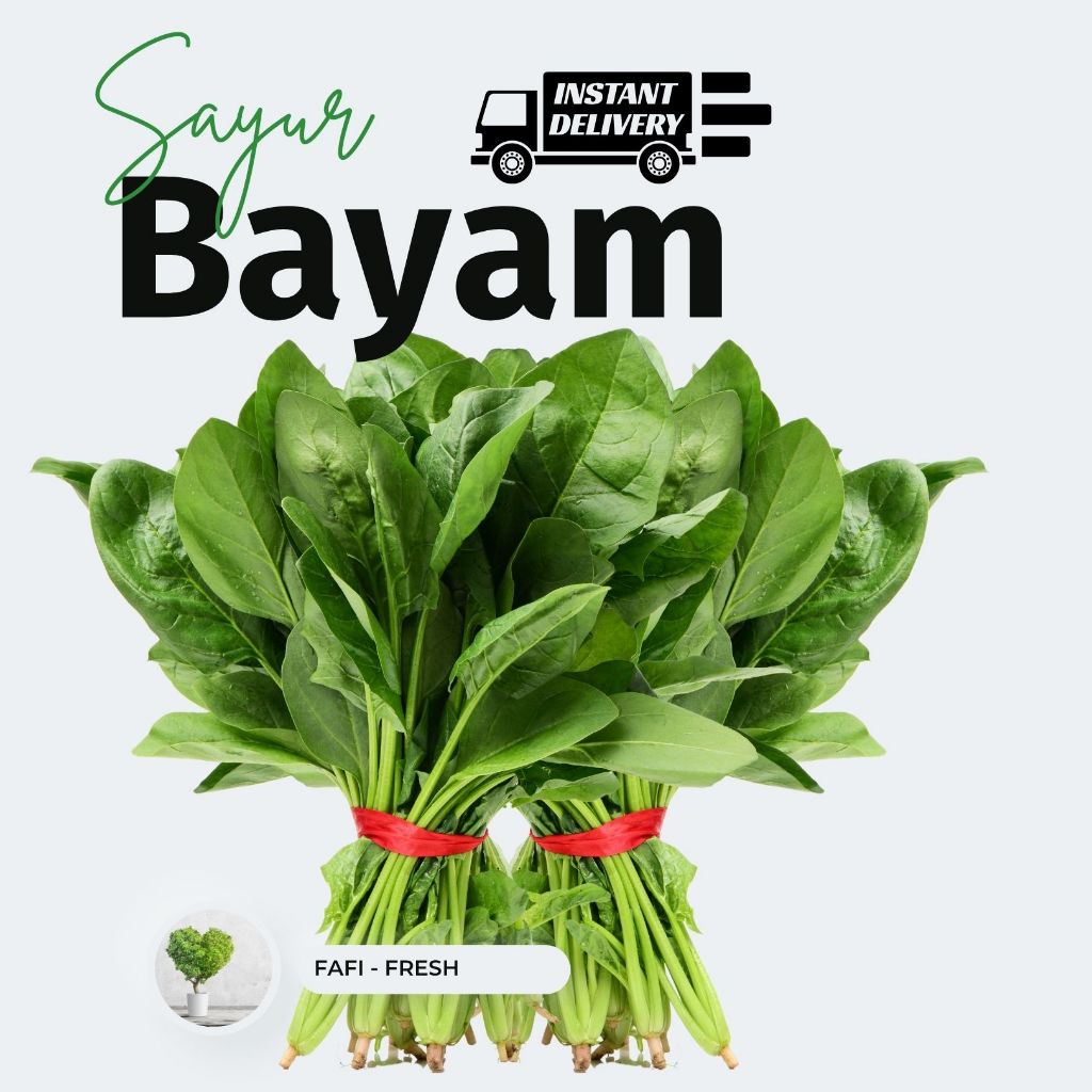 

SAYUR BAYAM HIJAU - FRESH DARI KEBUN - FAFI FRESH.