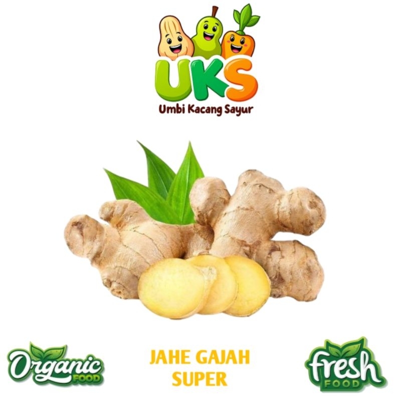 

Jahe Gajah Fresh Super 500 gram