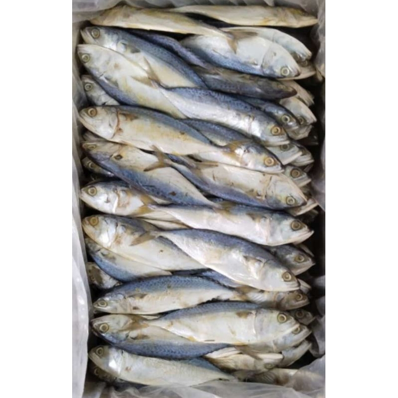 

ikan asin peda putih / ikan asin peda murah 500gr