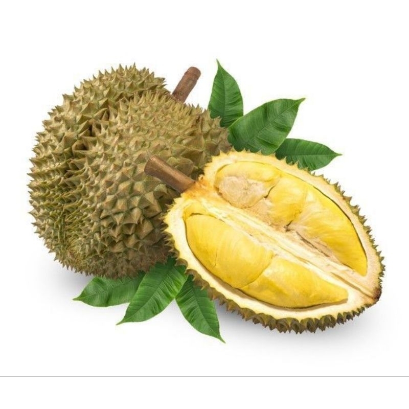 

Duren Montong / Durian Monthong Palu Fresh Buah Utuh 2,5kg-3,2kg