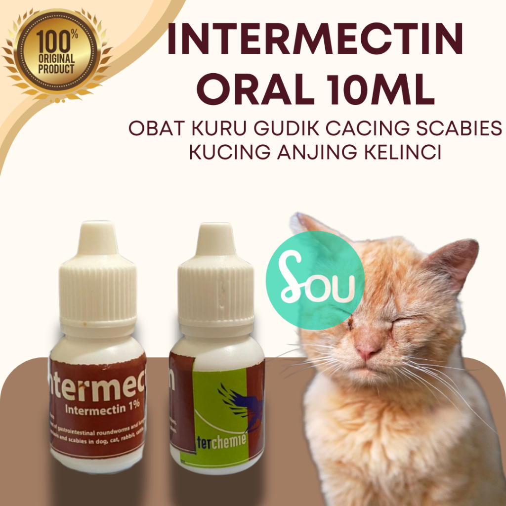 Intermectin Oral 10 Ml Obat Kutu Gatal Gudik Cacing Scabies Kucing Anjing Kelinci Intermec