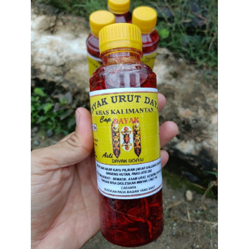 Minyak Dayak kalimantan minyak gosok mengobati keseleo,sakit pinggang,rematik