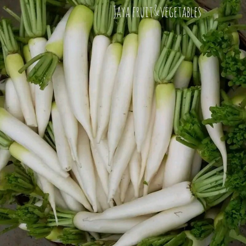 

LOBAK PUTIH FRESH 1KG