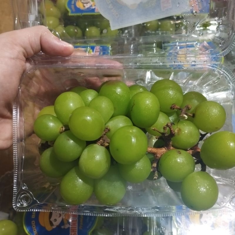 

500 gram Muscat / anggur hijau