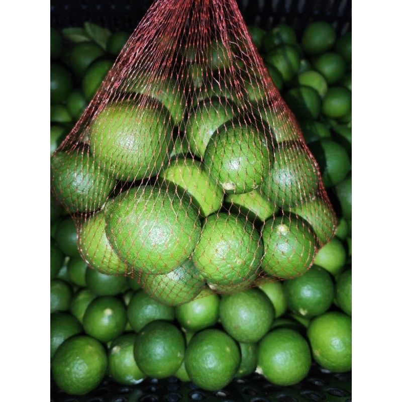 

jeruk nipis 1kg jeruk nipis murah jeruk nipis jeruk soto jeruk bumbu