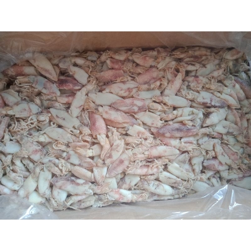 

Baby Cumi Asin Kering Kualitas Super 1kg Ecer/Grosir [TERMURAH]