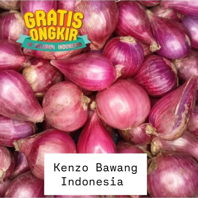 

Bawang Merah Brebes 1 Kg Terlaris