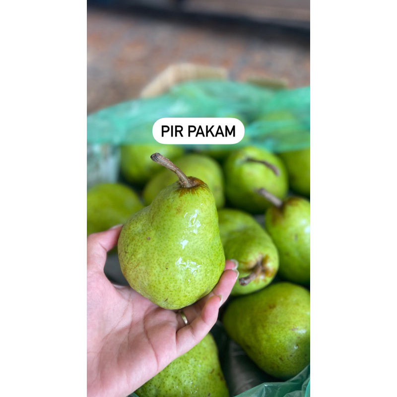 

pir pakam