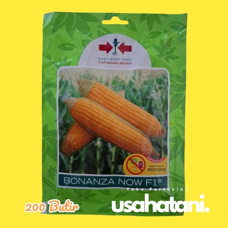 BONANZA NOW F1 / NB ( NEW BONANZA ) Super F1 200 Butir Benih Jagung Manis Cap Panah Merah