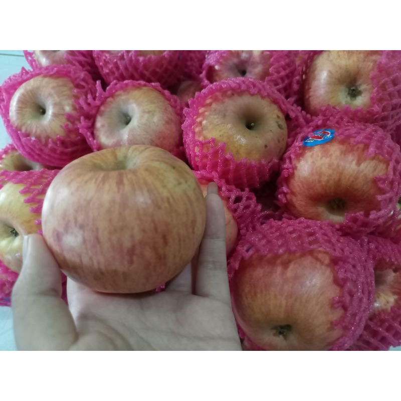 

APEL FUJI