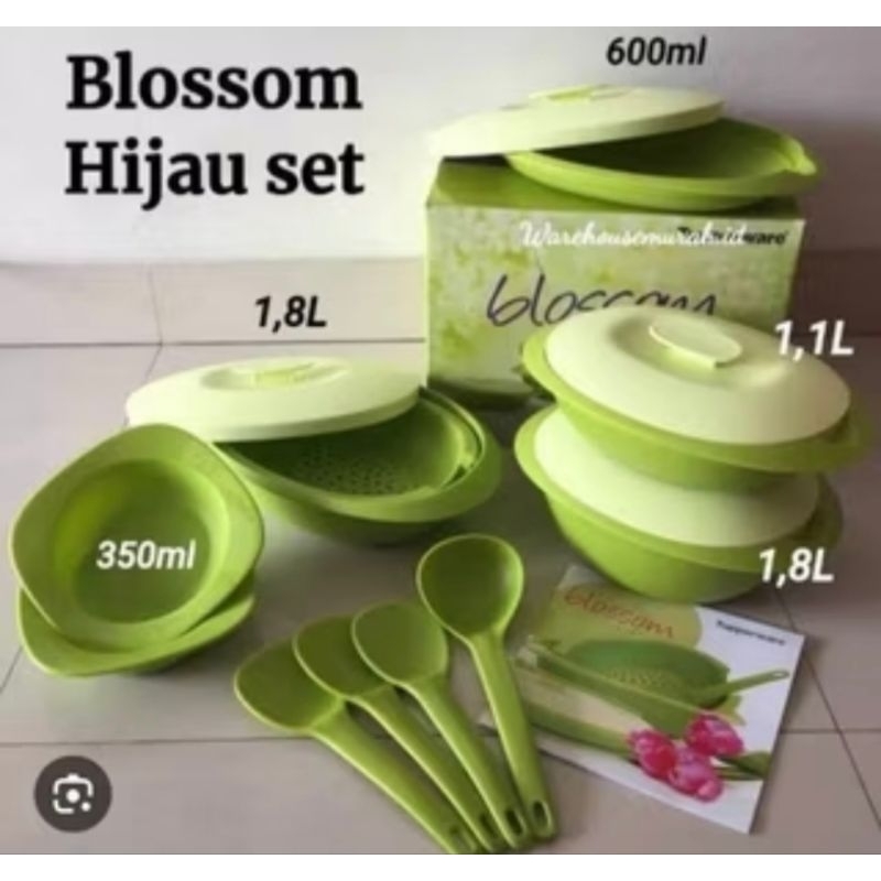 Pretty Lilly set / wadah makan prasmanan