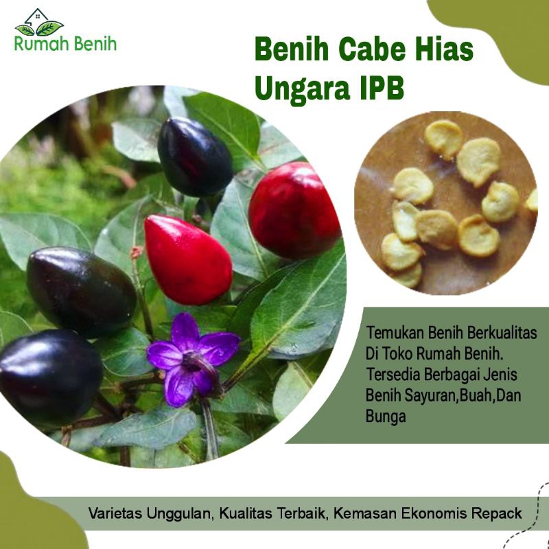 Benih Cabe Rawit Ungara IPB / Bibit Benih Cabe Rawit Mungil / Biji Benih Cabe Rawit / Benih Sayuran 
