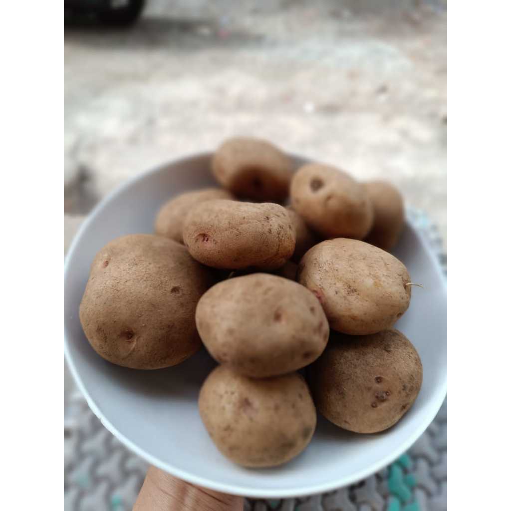 

Promo Kentang Dikirim Dari Padang Bukittinggi Kemasan 1000 Gram Murah Bukittinggi