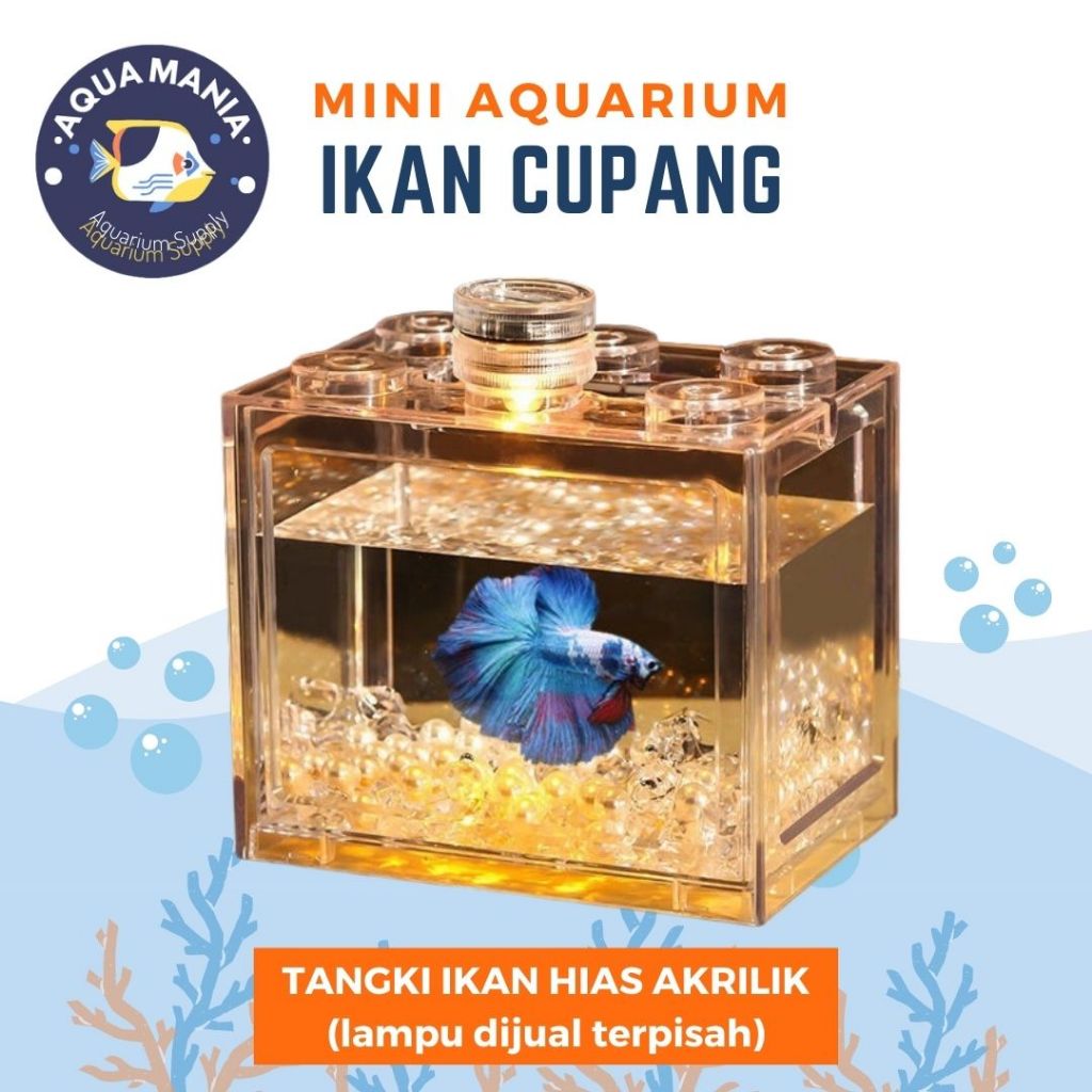 AQUARIUM MINI UNTUK IKAN CUPANG IKAN HIAS KECIL AQUARIUM AKRILIK AKUARIUM BLOCK
