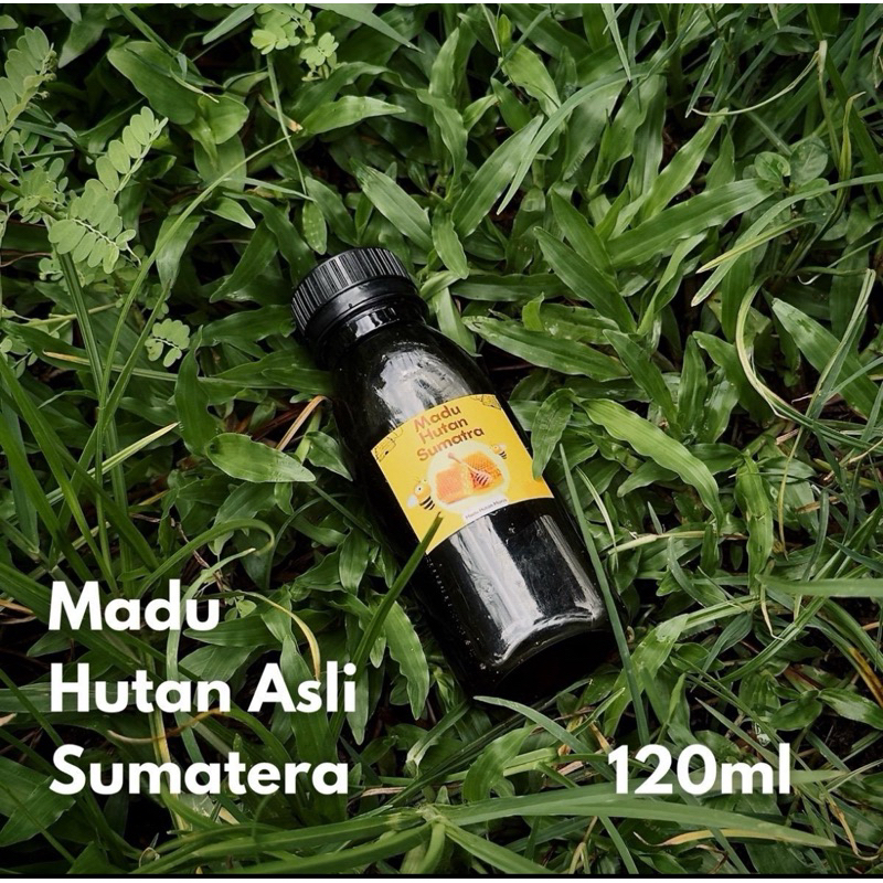 

Madu Hutan Asli Sumatera GRADE S | 250gr | 1 Tegukan Beragam ManfaaT