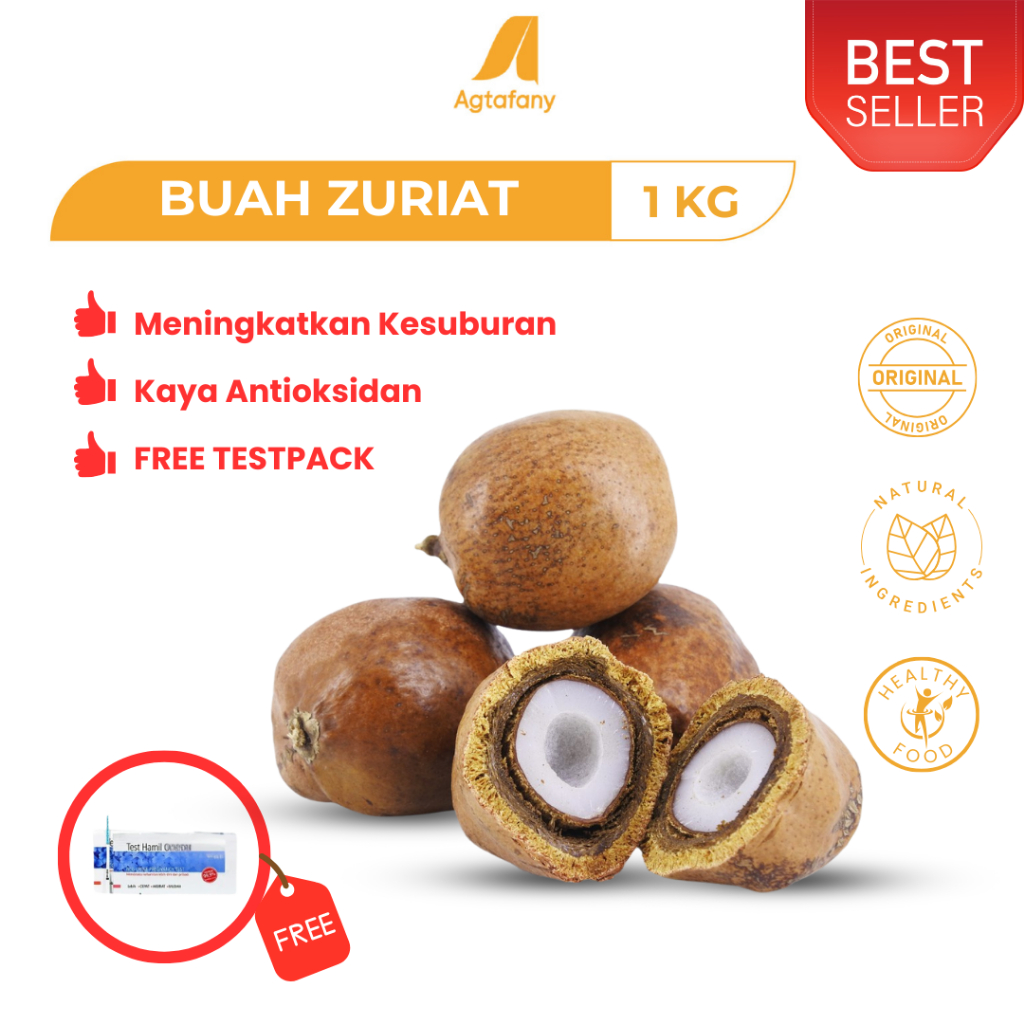 

Buah Zuriat Mesir 1 Kg Promo Buah Zuriyat Doum Promil FREE TESTPACK