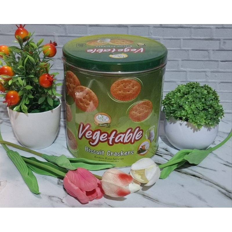 

DENEX BISKUIT VEGETABLE