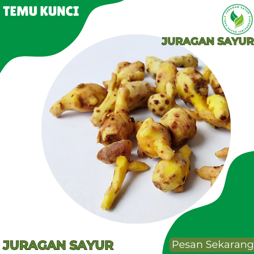

Juragan Sayur - Temu Kunci 100gr