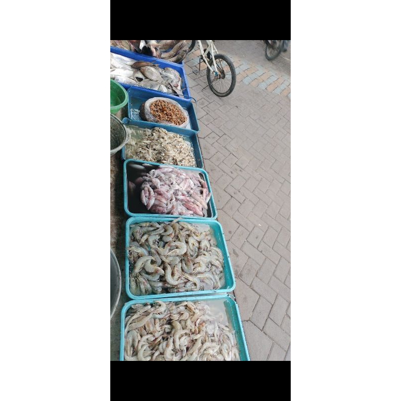 

Gurame / Gurami fresh +-1kg sudah termasuk jasa sisik