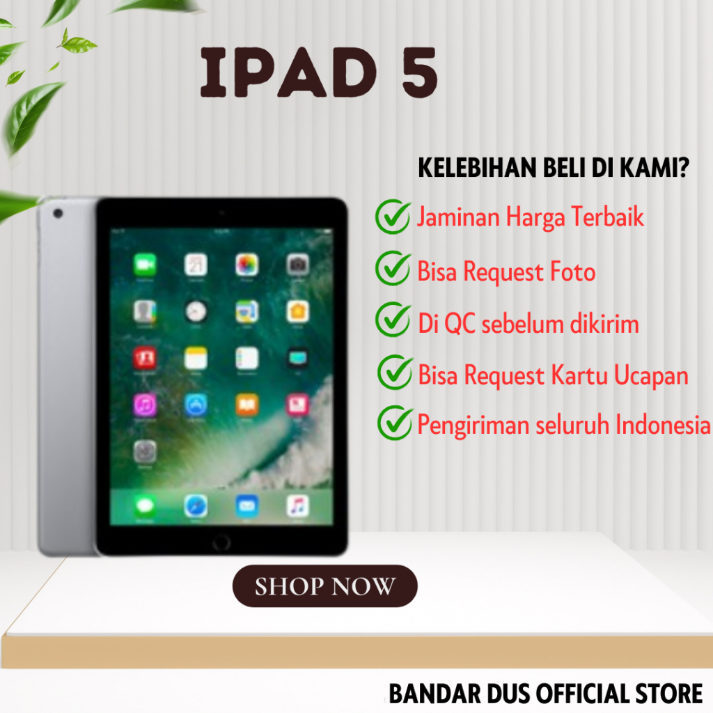 IPAD 5 32GB 128GB Gen 5 Wifi Only Second Original Ex Inter