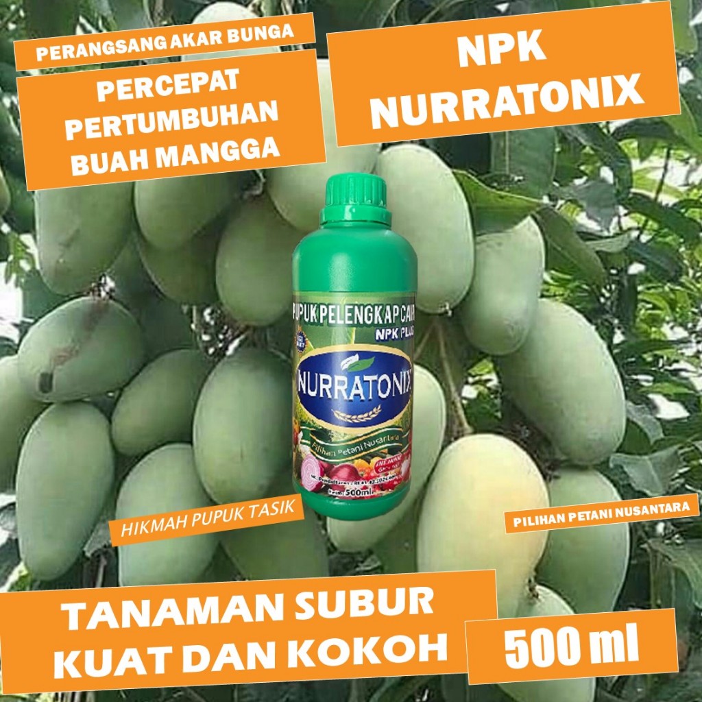 (LANGSUNG KIRIM) 500 ML PUPUK NPK NURRATONIX Pupuk Buah Mangga Organik Booster Buah agar cepat berbu