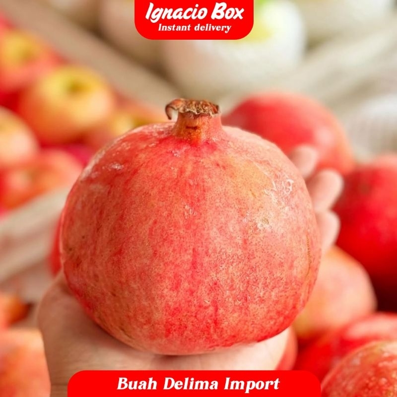 

READYYY BUAH DELIMA IMPORT MERAH / POMEGRANATE FRESH 1 BUAH IgnacioBox