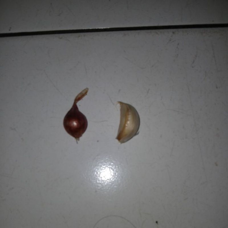 

bawang merah/putih 1 biji